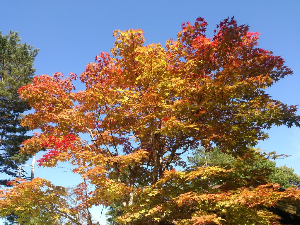 Runesu Karuizawa Kita-karuisawa 외부 사진